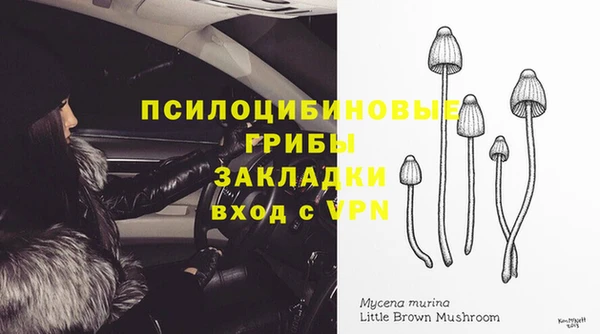 прущая мука Богородск