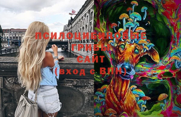 кокаин Богданович